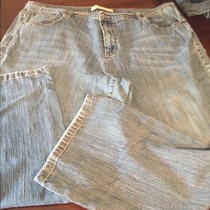 Low rise boot cut jean plus size 26 Average